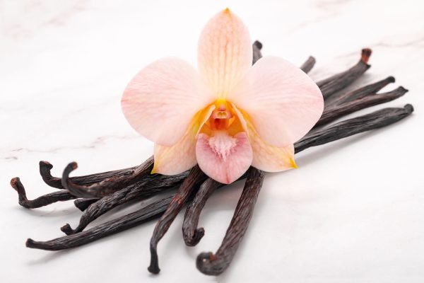 Vanilla Tahitensis Supplier Golden Pine Vanilla | Premium Vanilla Exporter from Indonesia