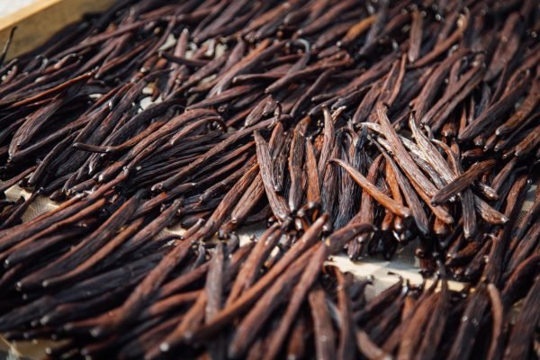 Vanilla Tahitensis Supplier Golden Pine Vanilla | Premium Vanilla Exporter from Indonesia